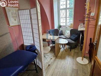 Rent commercial space Plzeň, sady 5. května č. 1