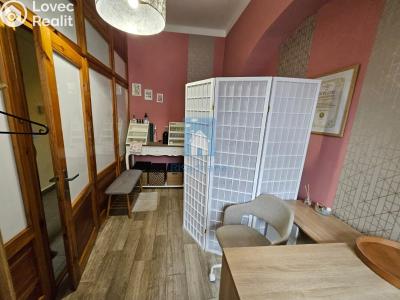 Pronájem obchodního prostoru Plzeň, sady 5. května č. 2