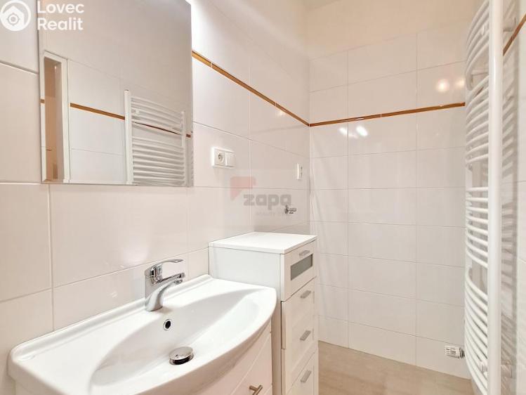 Pronájem bytu 2+1 Praha, Na Celné 1034/7 č. 8