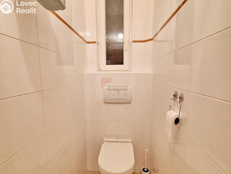 Pronájem bytu 2+1 Praha, Na Celné 1034/7 č. 12