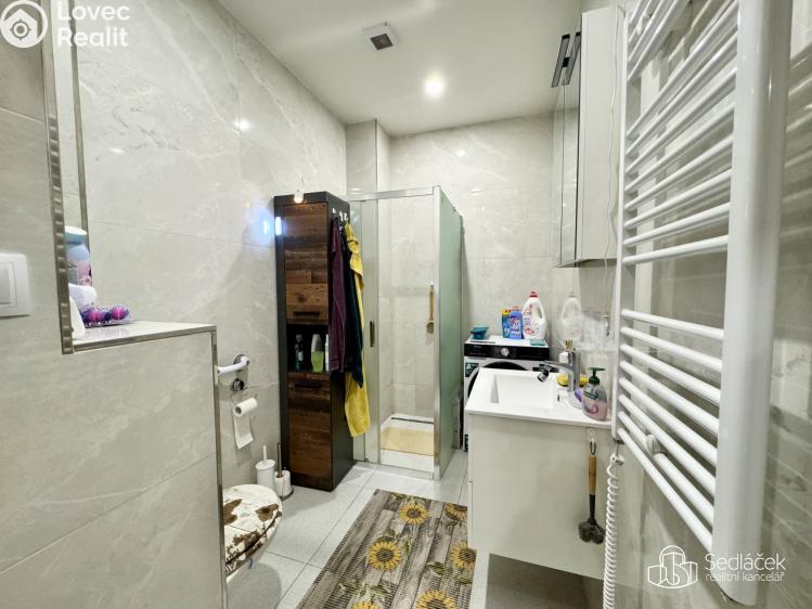 Pronájem bytu 4+KK Sokolov, Boženy Němcové č. 11