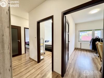 Pronájem bytu 4+KK Sokolov, Boženy Němcové č. 4