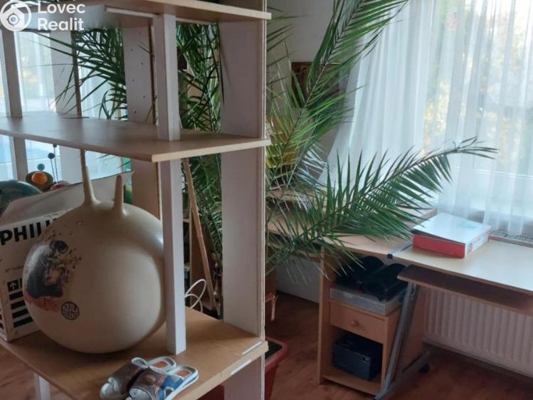 Pronájem bytu 3+1 Prostějov č. 5