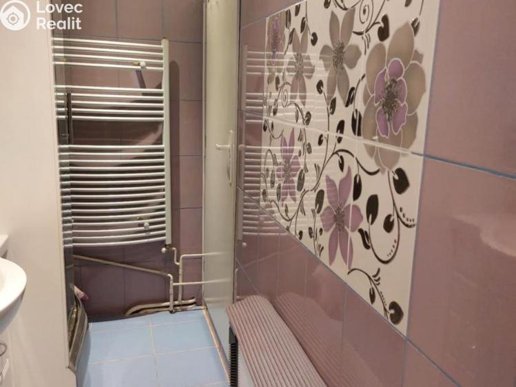 Pronájem bytu 3+1 Prostějov č. 8