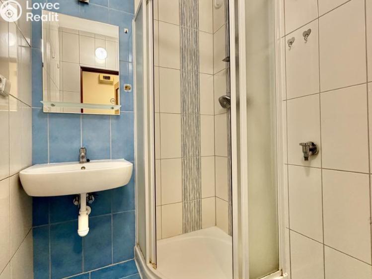 Pronájem bytu 1+1 Plzeň, Pecháčkova č. 6