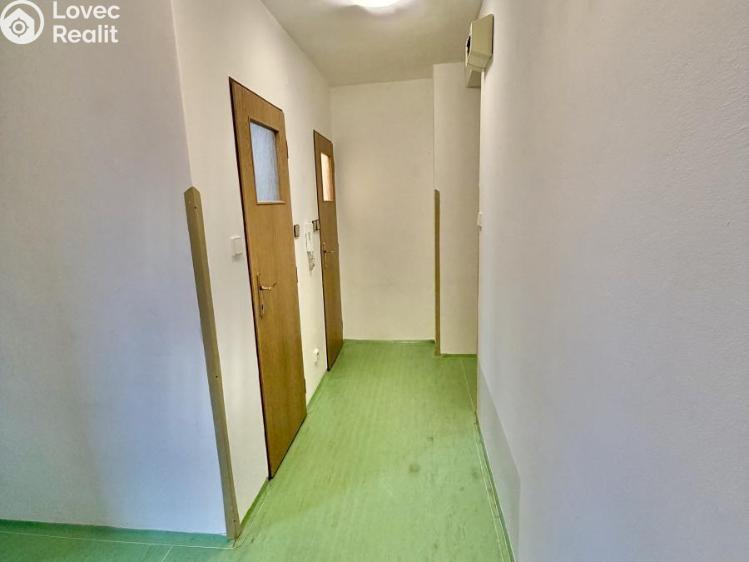 Pronájem bytu 1+1 Plzeň, Pecháčkova č. 9