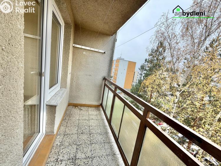 Pronájem bytu 1+1 Plzeň, Pecháčkova č. 10