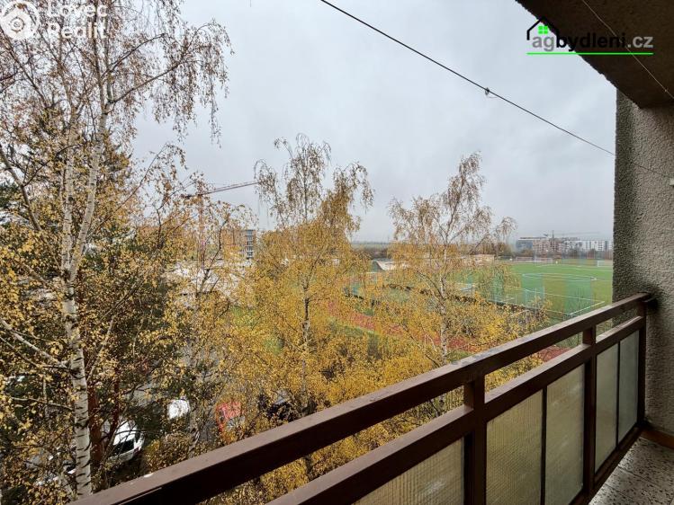 Pronájem bytu 1+1 Plzeň, Pecháčkova č. 11