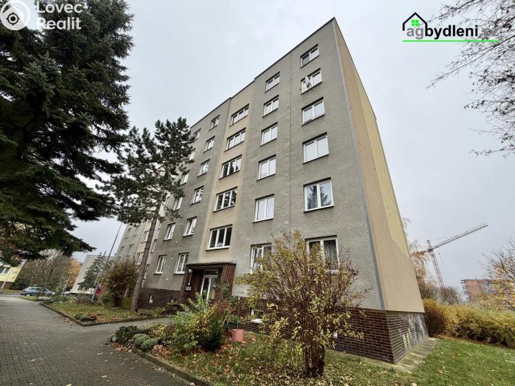 Pronájem bytu 1+1 Plzeň, Pecháčkova č. 13