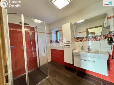 Pronájem rodinného domu Buš č. 5