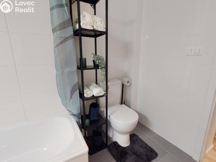 Pronájem bytu 2+1 Praha, Lucemburská 1496/8 č. 4