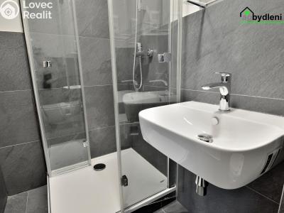 Оренда квартири 3+KK Plzeň, Kotkova č. 5