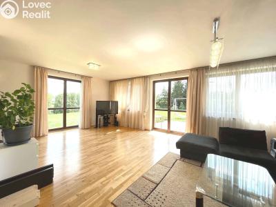 Pronájem rodinného domu Trnová č. 4