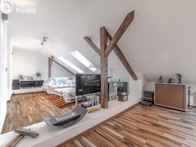 Sale apartment 3+KK Ostrava, Sovova č. 8