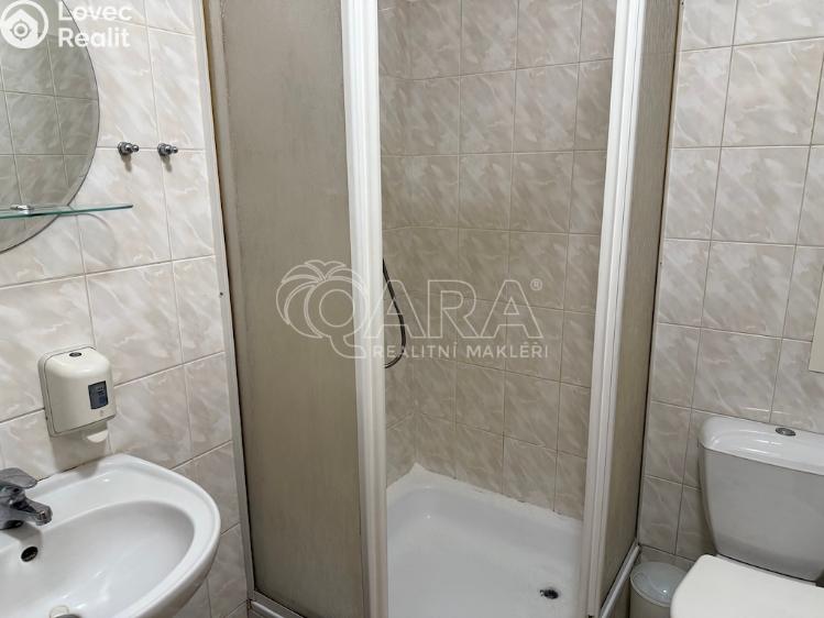 Pronájem bytu 1+KK Nový Jičín, K. Schwarze 1375/13 č. 3