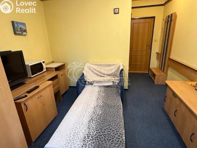 Pronájem bytu 1+KK Nový Jičín, K. Schwarze č. 6