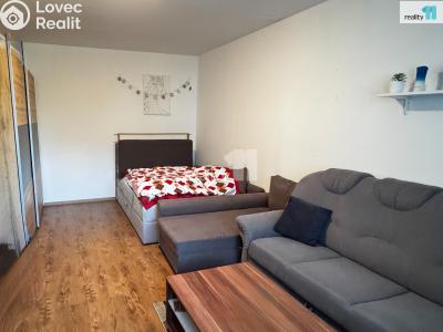 Sale apartment 1+1 Plzeň, Brněnská č. 3