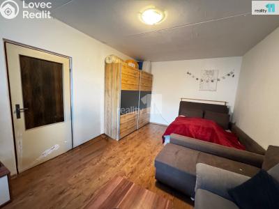 Sale apartment 1+1 Plzeň, Brněnská č. 4