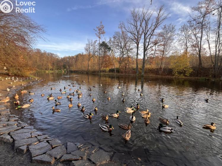Pronájem bytu 2+KK Praha, Soukalova č. 22