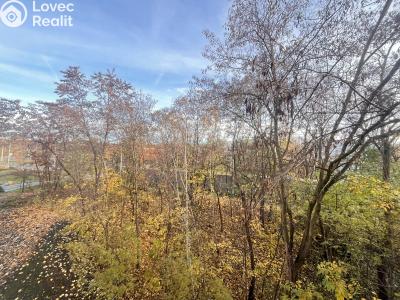 Pronájem bytu 2+KK Praha, Soukalova č. 4