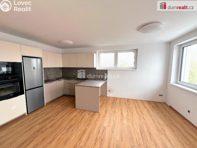 Pronájem bytu 3+KK Boršice č. 1
