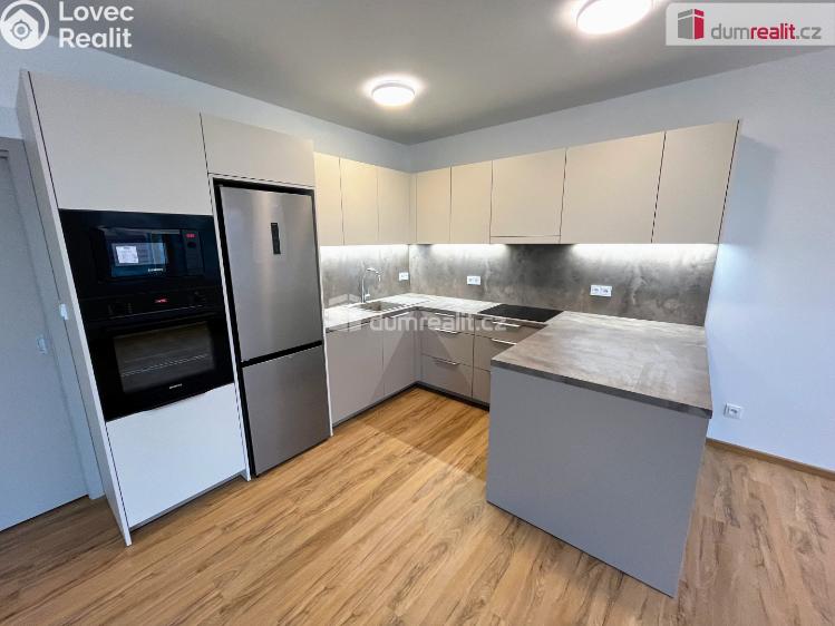 Pronájem bytu 3+KK Boršice č. 1