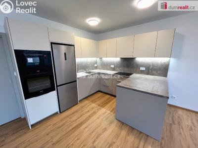 Pronájem bytu 3+KK Boršice č. 1