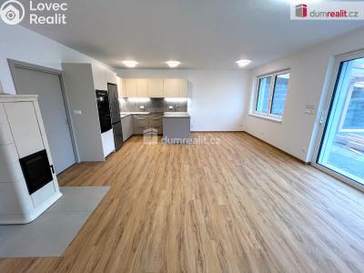 Pronájem bytu 3+KK Boršice č. 4