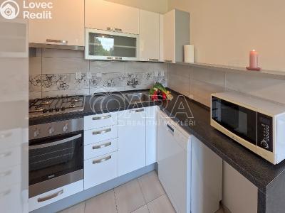 Pronájem bytu 3+KK Beroun, Na Parkáně 1493 č. 3