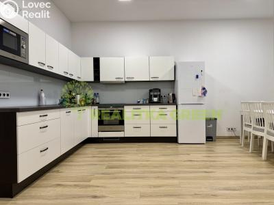 Оренда квартири 3+KK Slušovice, Dostihová č. 1