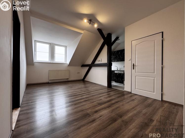 Pronájem bytu 3+1 Hodonín, Dobrovolského 250/13 č. 3