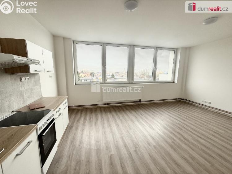 Pronájem bytu 2+KK Mlékojedy č. 1