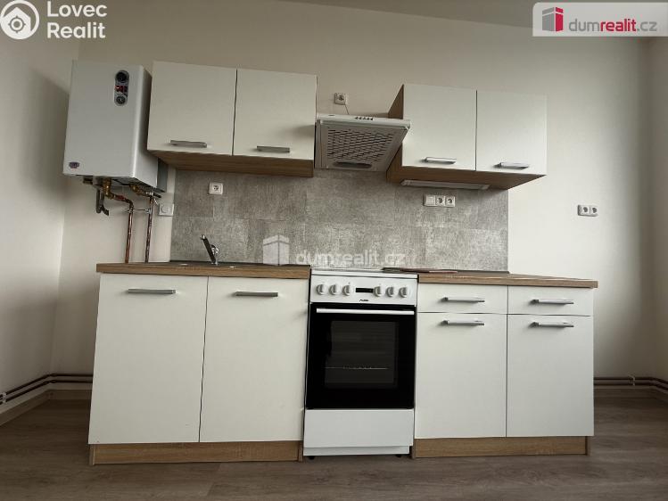 Pronájem bytu 2+KK Mlékojedy č. 3