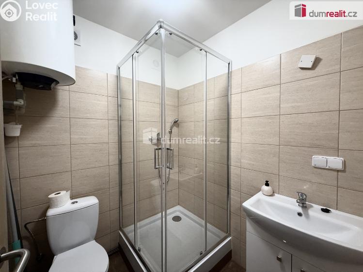 Pronájem bytu 2+KK Mlékojedy č. 8