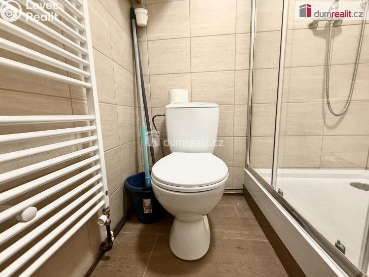 Pronájem bytu 2+KK Mlékojedy č. 9