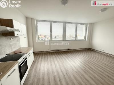 Pronájem bytu 2+KK Mlékojedy č. 1