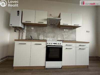 Pronájem bytu 2+KK Mlékojedy č. 3