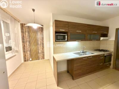 Pronájem bytu 3+1 Ústí nad Labem, Hluboká č. 2