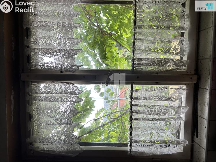 Pronájem chaty Praha 16, U sanatoria č. 5