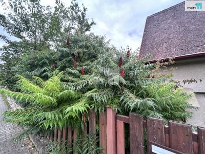 Pronájem chaty Praha 16, U sanatoria č. 3