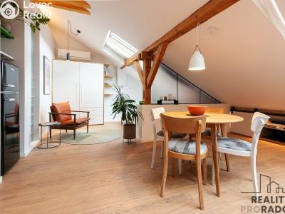 Rent apartment 1+KK Praha, Čs. armády č. 5