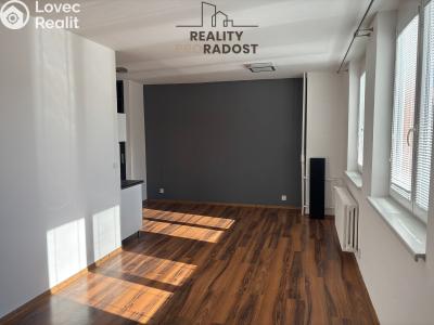 Pronájem bytu 1+KK Ostrava, 30. dubna č. 4