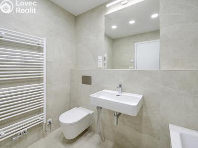 Pronájem bytu 2+KK Praha, Vladimíra Kobranova č. 6