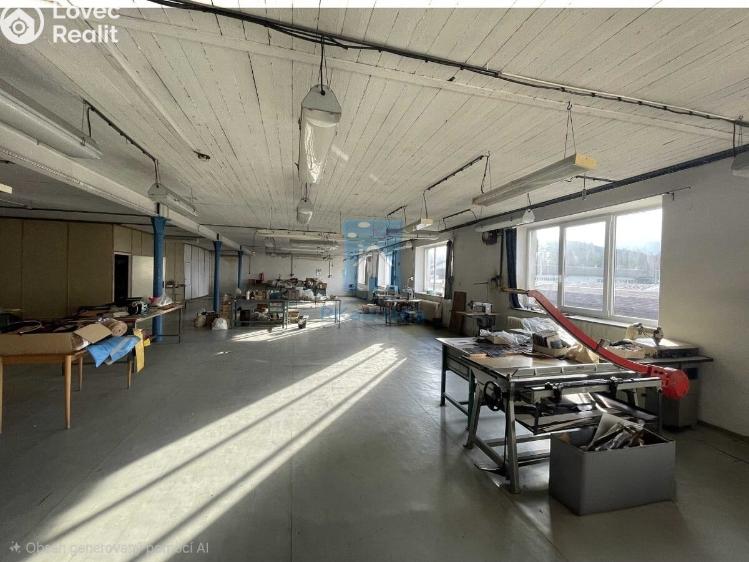Prodej výrobní haly Klatovy, Franty Šumavského č. 3