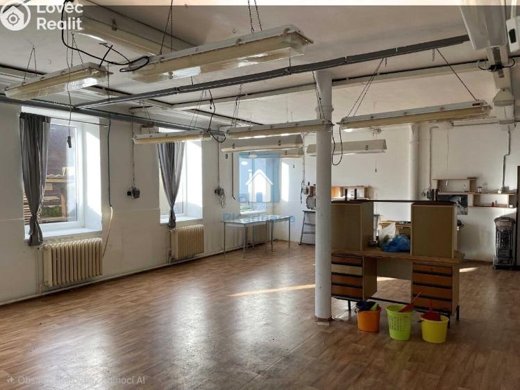 Prodej výrobní haly Klatovy, Franty Šumavského č. 36