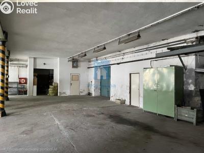 Sale production hall Klatovy, Franty Šumavského č. 4