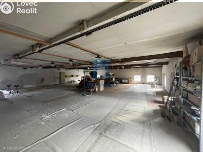 Sale production hall Klatovy, Franty Šumavského č. 6