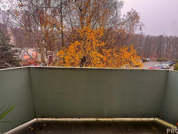 Prodej bytu 1+1 Brno, Bellova č. 4