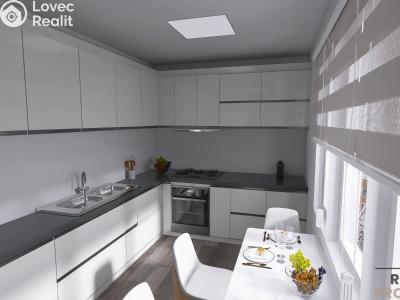 Sale apartment 2+1 Karviná, Horova č. 4