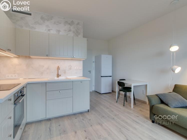 Rent apartment 1+KK Praha, Malkovského č. 4